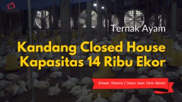 kandang-closed-house-kapasitas-14-ribu-ekor